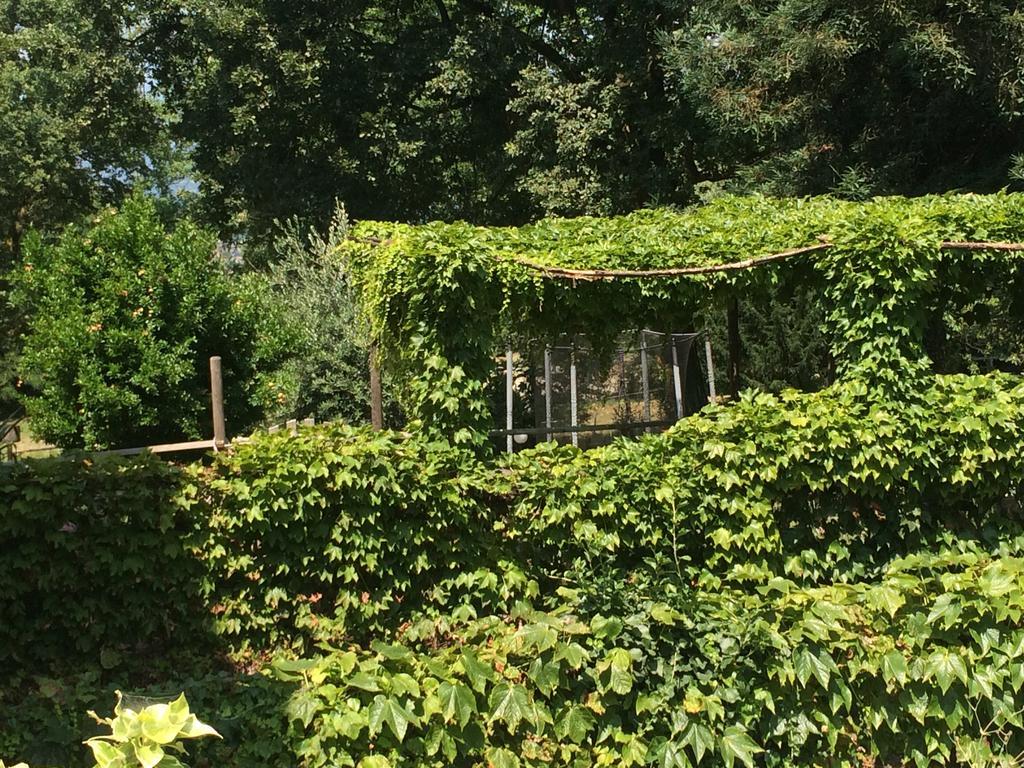 Bed and Breakfast Fattoria Sequoia Castagneto Po Экстерьер фото