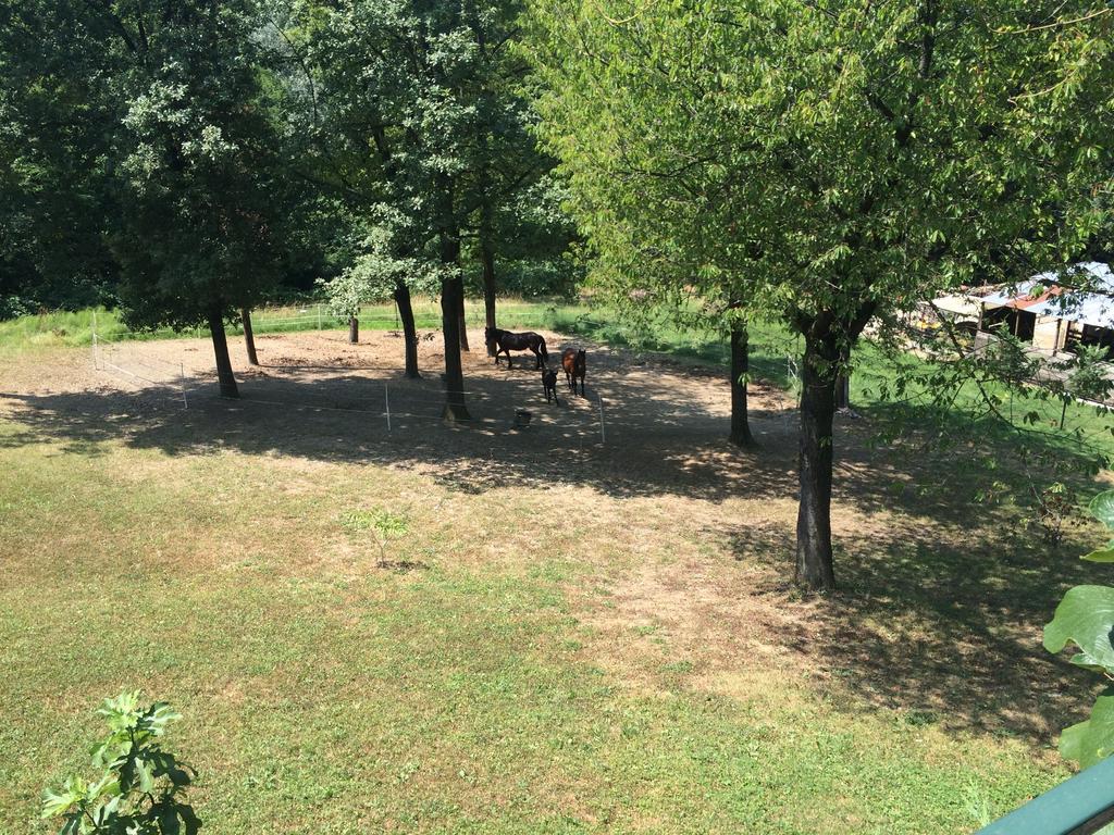 Bed and Breakfast Fattoria Sequoia Castagneto Po Экстерьер фото